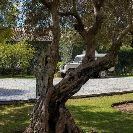 Almendral Exclusive Hill Club Estate By Domvia Marbella